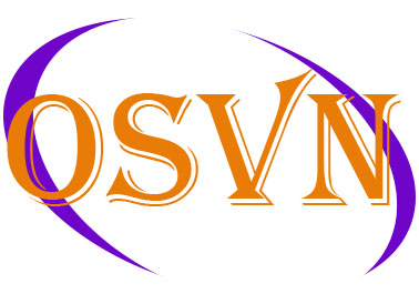 CÔNG TY TNHH MTV GIẢI PHÁP NHÂN SỰ OSVN